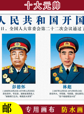 十大元帅实木书房办公会议室壁画