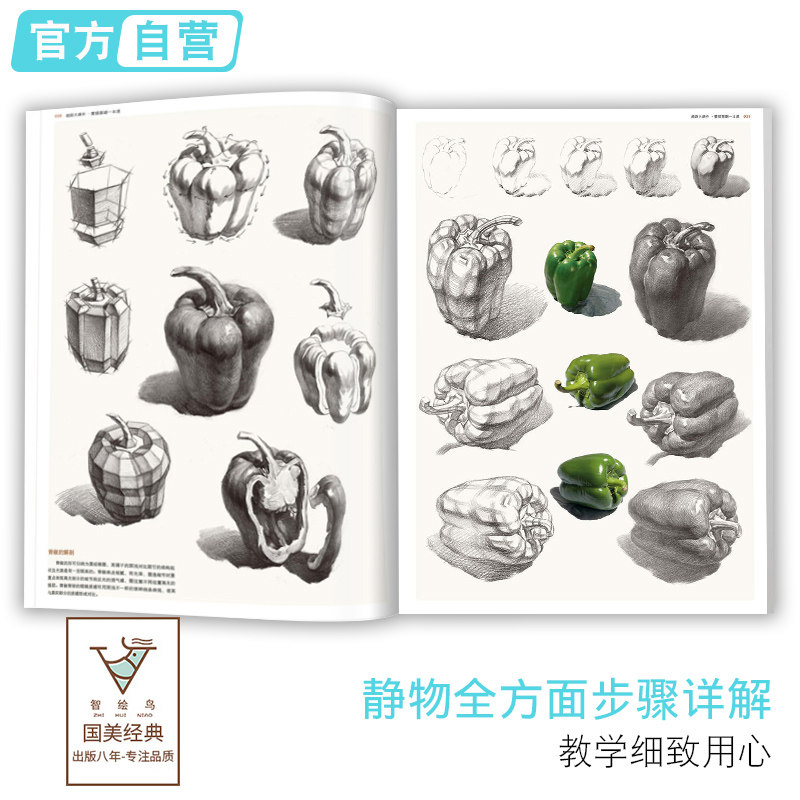 超级大课件1000例素描基础一本通几何体石膏像人物头像美术书绘画照片对画临摹范本肖像静物半身像基础入门敲门砖超级超群定制演绎