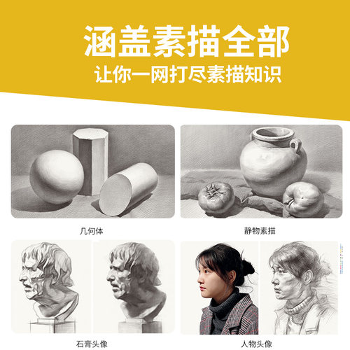 讲透素描一本通 零素描基础教程美术绘画书籍教学材临摹范画画入门新手自学铅笔手绘静物单体组合石膏几何体人物头像初学画册 - 图1