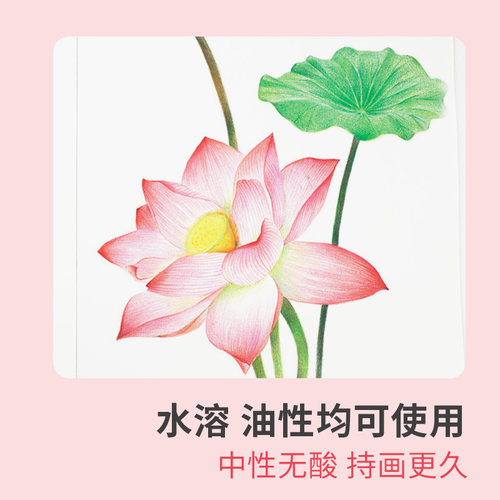 彩铅绘画专用手绘本 彩色铅笔画本画册纸  亮白纸张 美术绘画素描本  动漫漫画成人儿童涂色画画图画本 - 图2