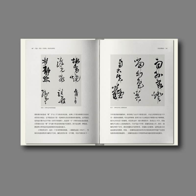 笔法章法字结构书法形态研究邱振中官方正版上海书画出版社-图2