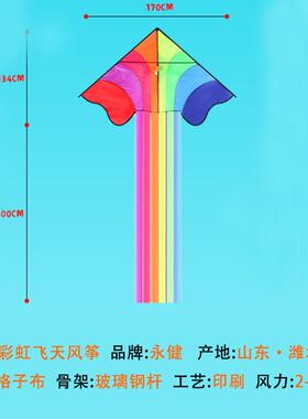 风筝儿童微风易飞2024年潍坊新款大型高档成大人老鹰专用网红卡通