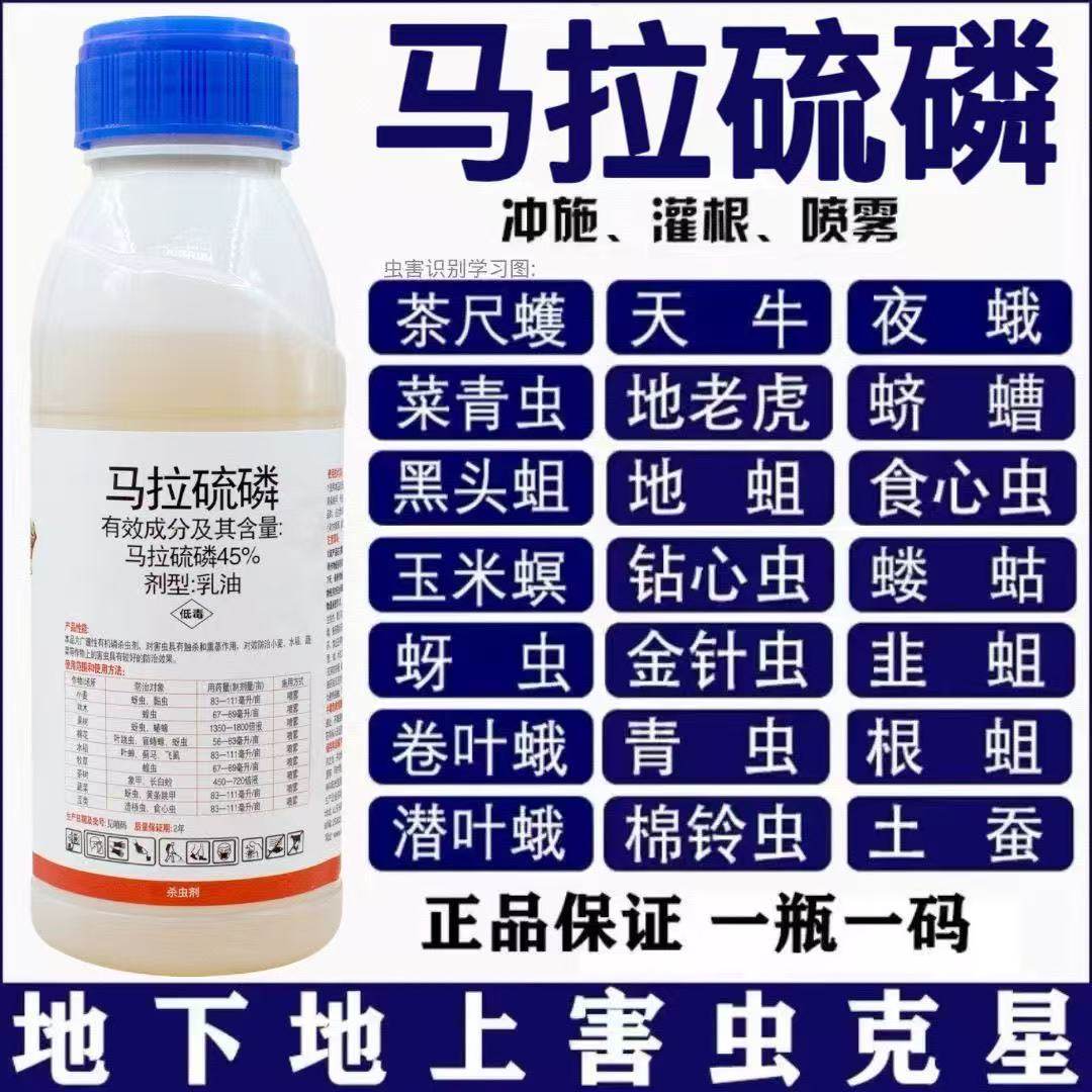 马拉硫磷杀虫剂蚜虫蓟马钻心虫跳甲飞虱蝗虫粘虫水稻小麦果树蔬菜,淘宝优惠券,粉丝福利购,淘宝优惠卷