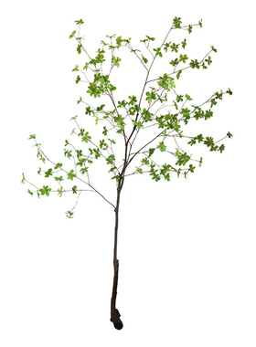 洋酒具装饰吧台柜书架醒简