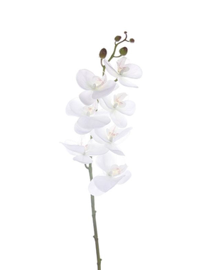 现代简约样板间卧室床头柜装饰画摆件花瓶花艺展厅搭配道具陈列