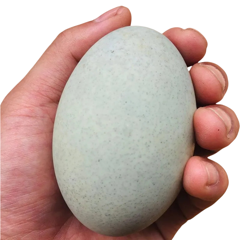 SHD松花蛋皮蛋30枚溏心松花皮蛋无铅工艺拌饭酱变鸭蛋盐皮蛋皮蛋,淘宝优惠券,粉丝福利购,淘宝优惠卷