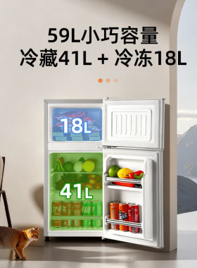 小冰箱展示柜家用办公室省电迷你客厅冷冻出租房双开门大容量保鲜