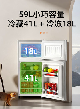 小冰箱展示柜省电双开门家用办公室冷冻保鲜宿舍小型节能迷你冷藏