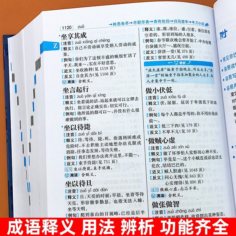 正版成语大词典小学初中生高中生字典辞典通用现代多功能新华大成语词典中华成语训练大全2024新版小学生专用汉语词典工具书
