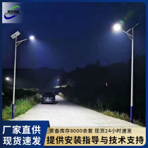 New Countryside 6 m Street Lights Outdoor Park Courtyard Lights Municipal Engineered Streetlights