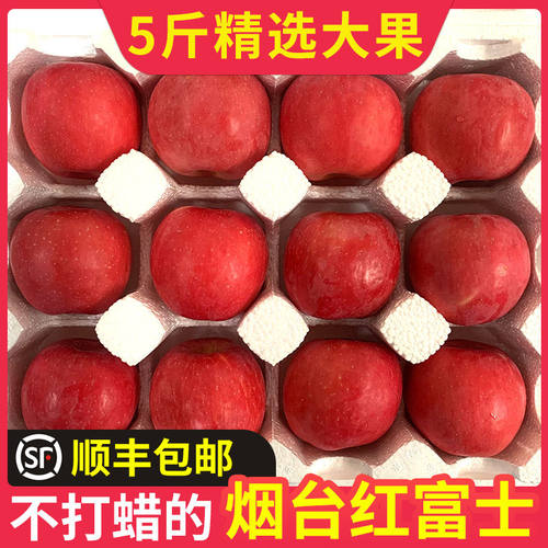 【顺丰】王掌柜山东烟台红富士苹果大果脆甜多汁产地直发3/5斤-图2
