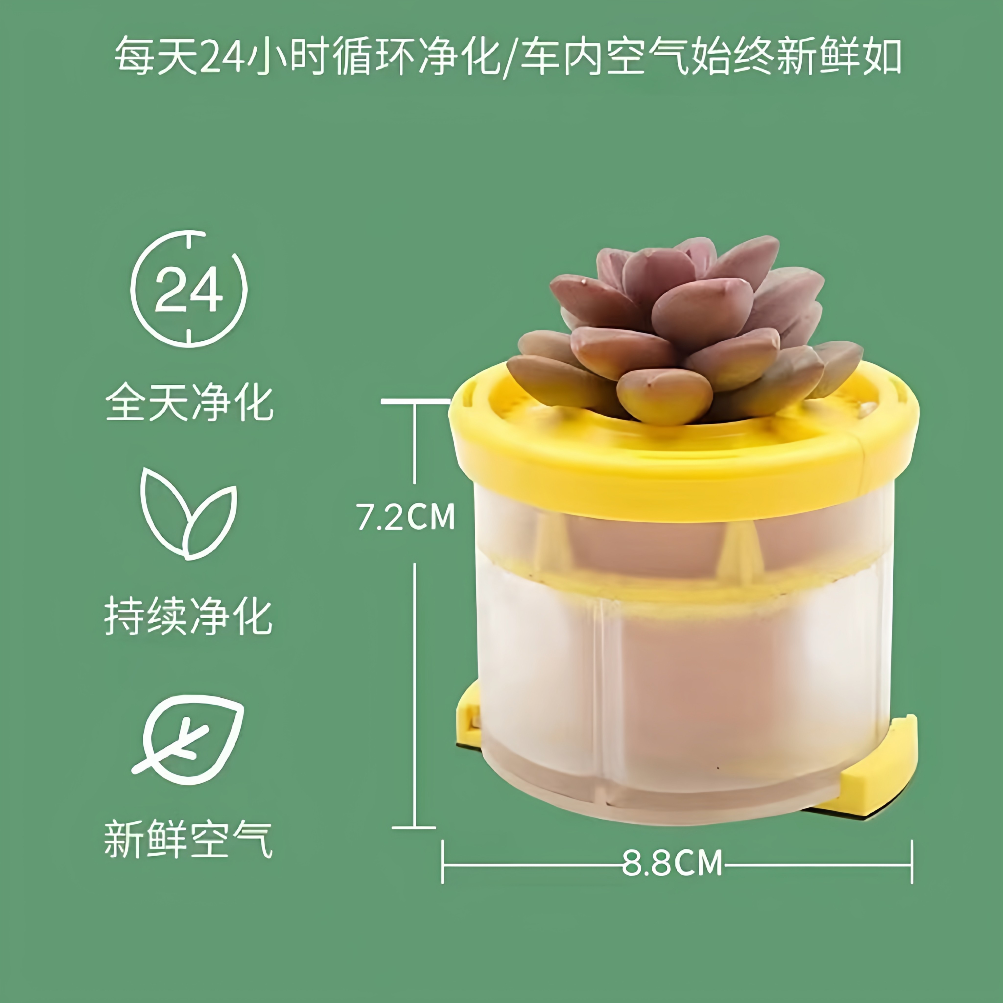 汽车绿植养花器车内空气净化器吸甲醛植物摆件车载氧吧车栽真花