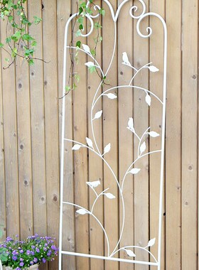 美式铁艺爬藤架子铁线莲月季植物攀爬架蔷薇植物户外庭院阳台花架