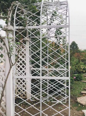 欧式铁艺爬藤架花支架蔷薇绿植花架户外铁线莲攀爬花拱门月季花架