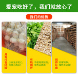 大麦虫活虫包邮面包虫黄粉蛋白鲜活虫子龙鱼八哥鸟食活体钓鱼饲料 - 图3