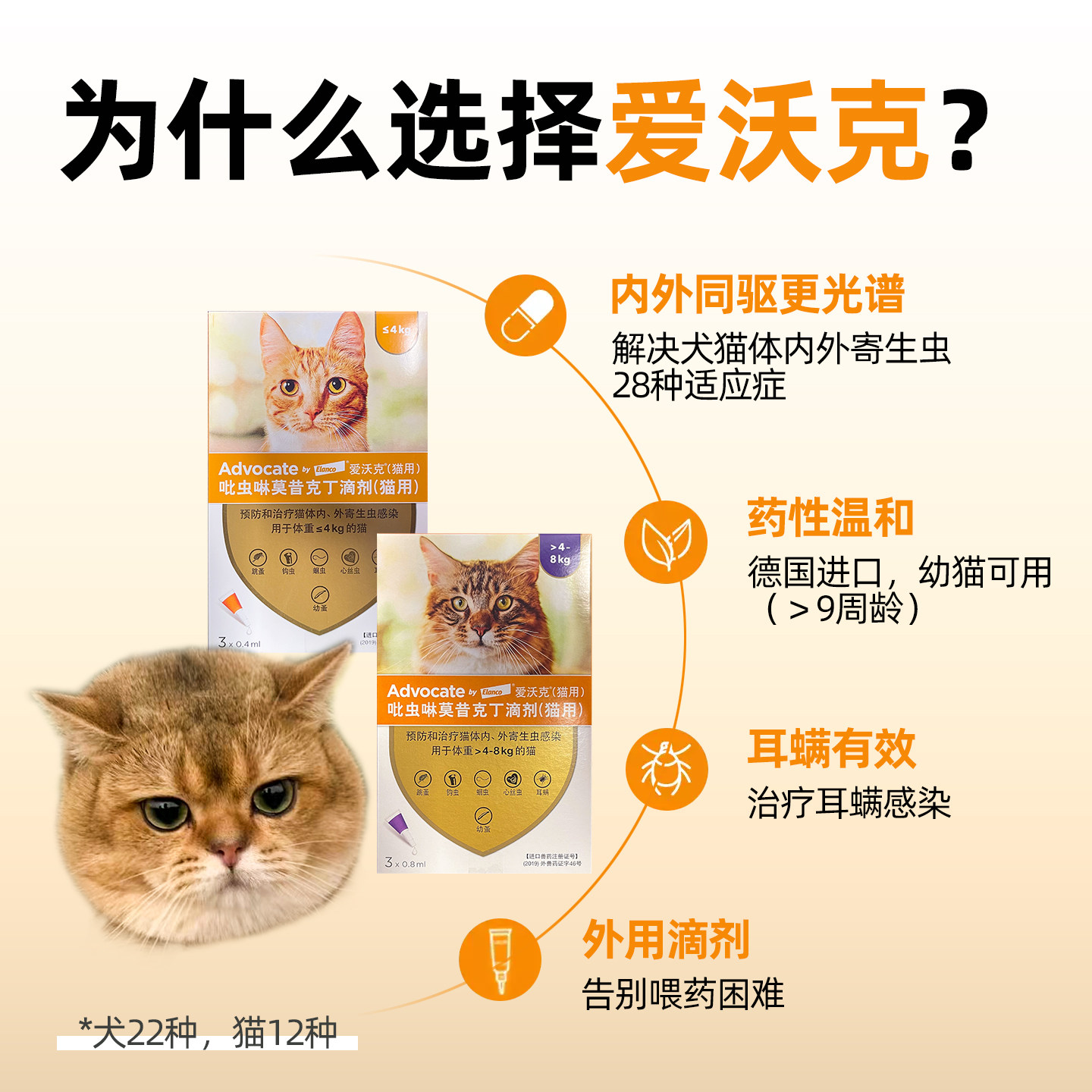 进口爱沃克宠物驱虫药滴剂狗狗猫咪通用跳蚤蛔虫耳螨成猫幼猫