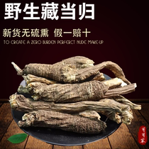 Tibet Zhengzong Wild Angelica 250g medicinal herbs Angelica Tablets Whole Angelica with Opsis Pilosula conditioning Qi Blood