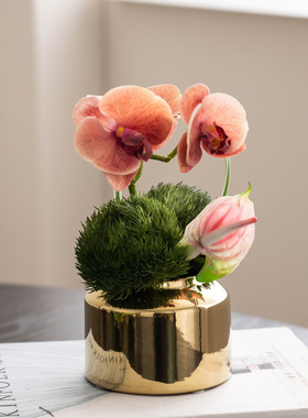 桌花摆件轻奢仿真花手感客厅茶几办公桌摆设花餐厅样板间蕙兰