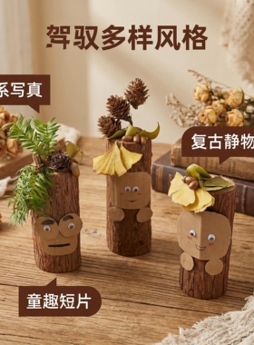杉木桩人摆件造景配件森系静物