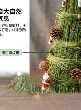 新鲜松枝小树型摆件桌面书架摆放