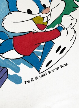 Tiny Toon 华纳兄弟动画人物形象满印Vintage大码水洗重磅短袖T恤