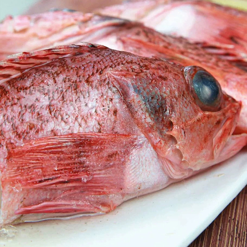 虎头鱼新鲜老虎鱼石九公鱼海捕虎头斑鱼红石斑鱼鲜活冷冻海鲜水产,淘宝优惠券,粉丝福利购,淘宝优惠卷