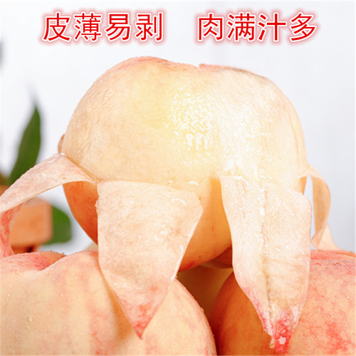 新鲜水果现摘现发正宗无锡水蜜桃应季蜜桃血桃黄毛桃 - 图2