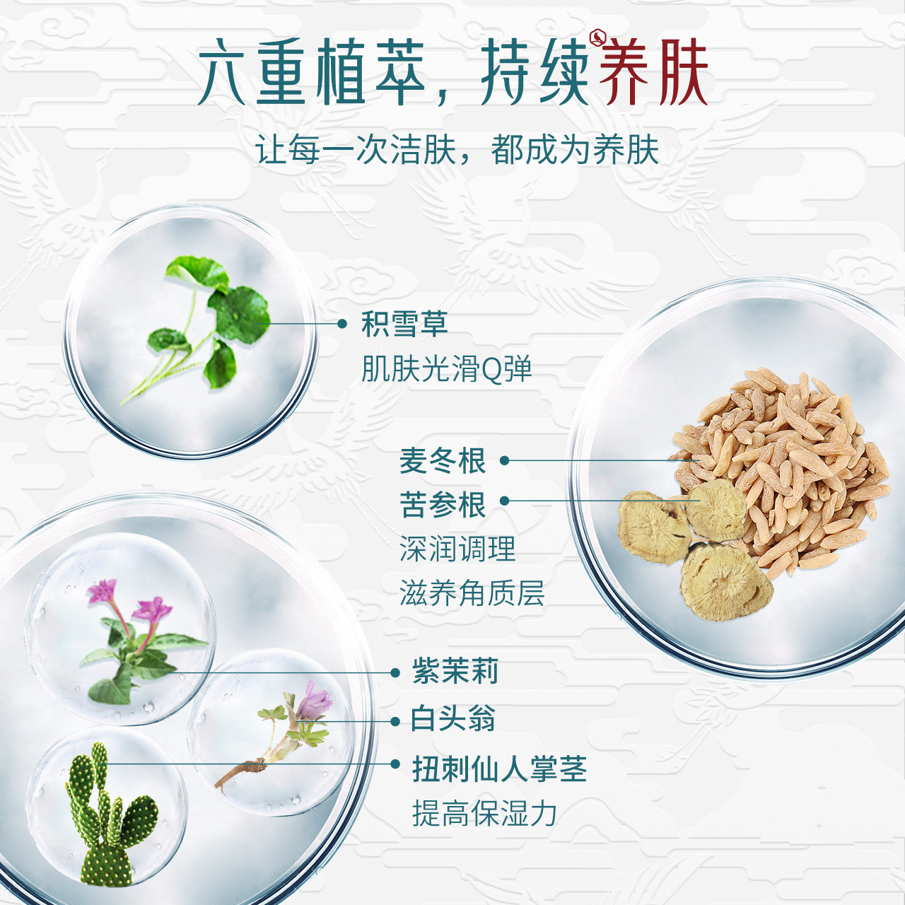 花梦影氨基酸女男士深层清洁洗面奶 花梦影洁面