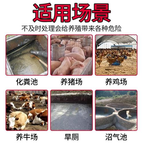 化粪池溶解剂旱厕除臭疏通马桶下水管道养殖场粪池堵塞生物化粪剂-图1