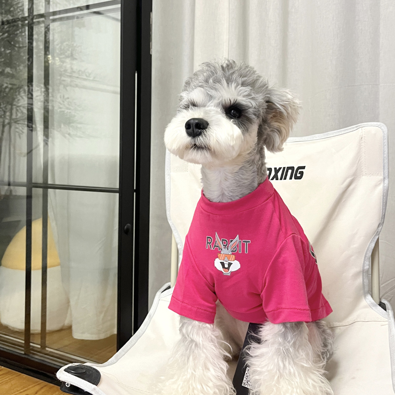 狗狗衣服小型犬雪纳瑞泰迪夏季薄款衣服网红狗狗猫咪舒适纯棉T-图2