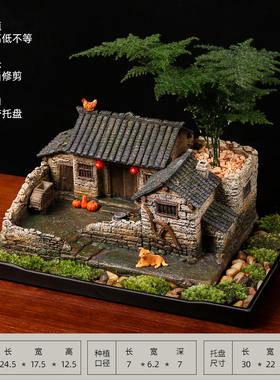 中式微景观盆景办公室桌面绿植盆栽客厅装饰摆件农家小院微缩模型