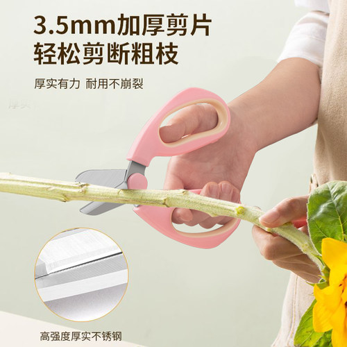 修树专用剪刀不锈钢果树枝剪刀园艺专业园林剪刀剪枝修花省力剪刀 - 图2