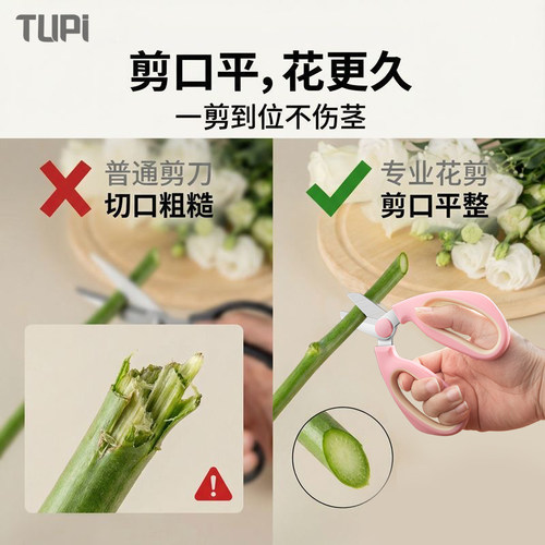 修树专用剪刀不锈钢果树枝剪刀园艺专业园林剪刀剪枝修花省力剪刀 - 图1