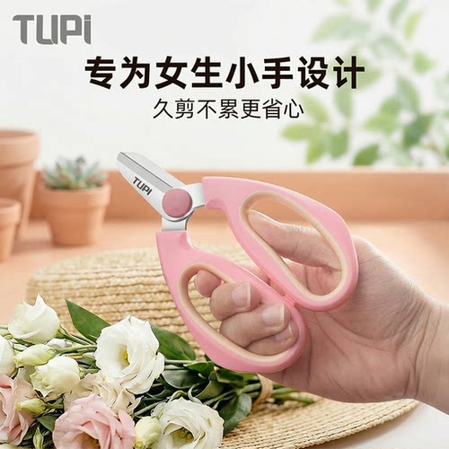 修树专用剪刀不锈钢果树枝剪刀园艺专业园林剪刀剪枝修花省力剪刀 - 图0