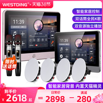 Westtin XT9 Smart Home Background Music Host Home Sound Whole House System Sky Cat Genre Controller