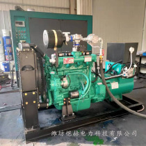 Custom 30kw gas generator set 501001000 W gas generator gas biogas breeding