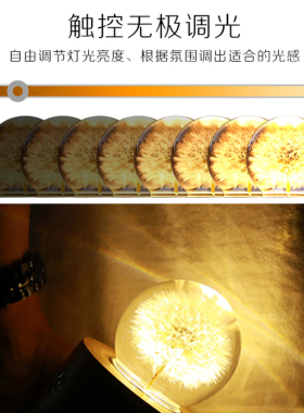 蒲公英标本水晶球音乐盒