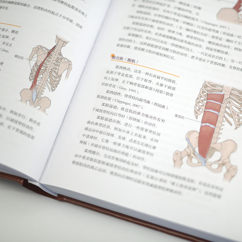 基于生物力学的纠正性训练 TBMM-CES运动康复体态矫正指南 改善肌肉与骨骼功能障碍与疼痛 基础解剖结构与运动功能纠正性训练教程