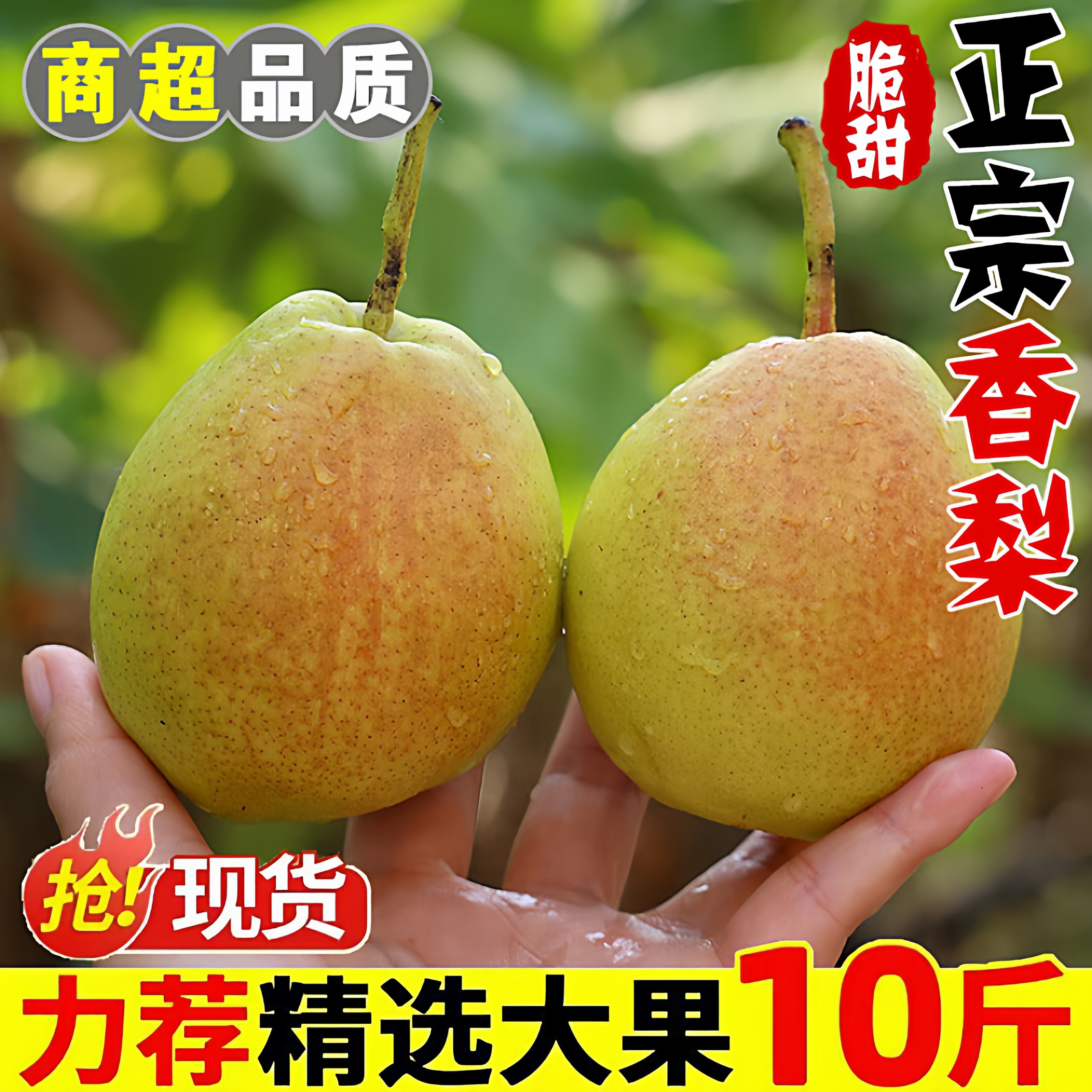 香梨当季水果梨子整箱10斤新鲜红香酥梨脆甜梨酥梨雪梨青梨子包邮