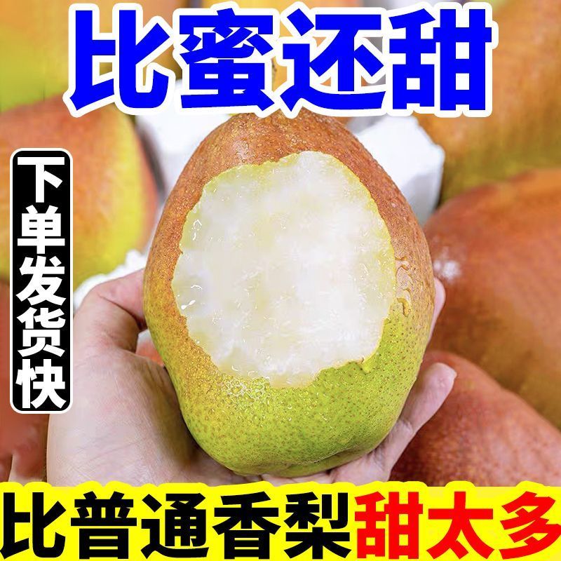 红香酥梨10斤香梨梨子新鲜水果5斤新梨当季整箱酥梨包邮当天现摘 - 图0