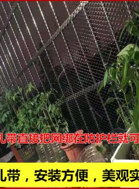 黑色塑料网格胶网封窗封阳台防坠防护网猫咪网家用窗网防掉东西网