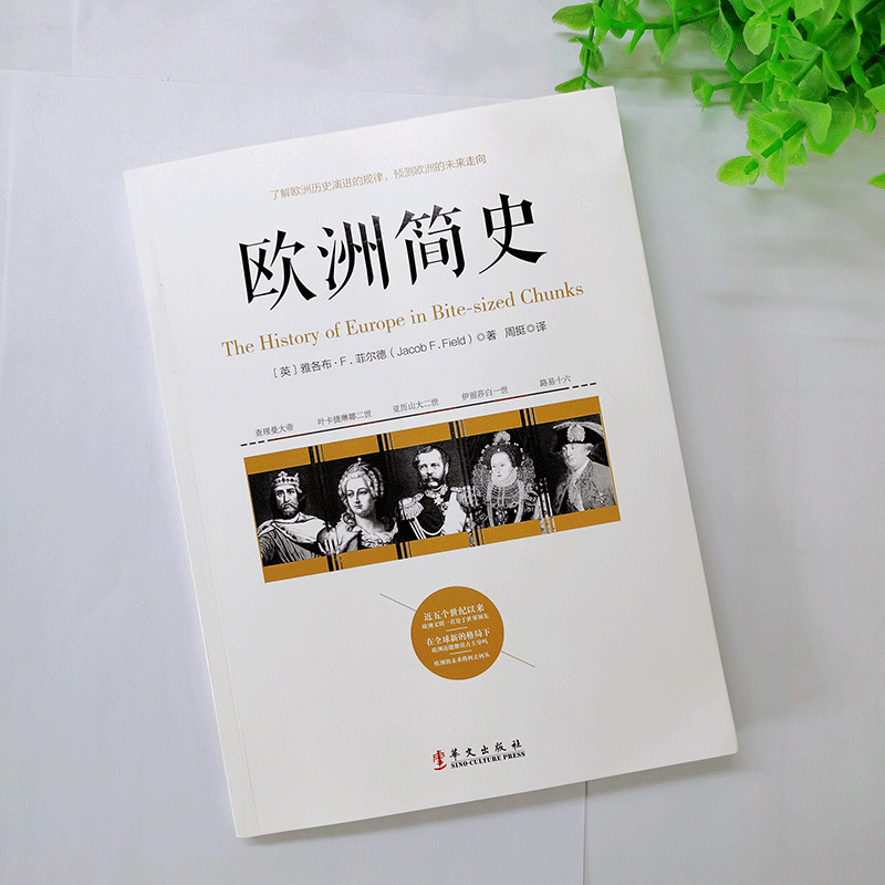 正版 欧洲简史 欧洲古典中世纪简史 拜占庭帝国史 查理曼大帝 意大利文艺复兴拿破仑战争英法俄乌世界西方历史书籍 - 图0