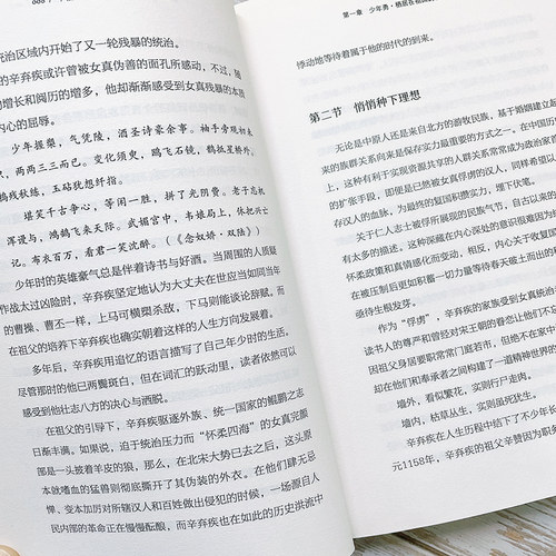 不信人间有白头 辛弃疾传 辛弃疾诗词全集 辛弃疾词传 文学家名人传记散文随笔中国历史人物传记历史知识读物名人人物传记书籍 - 图1