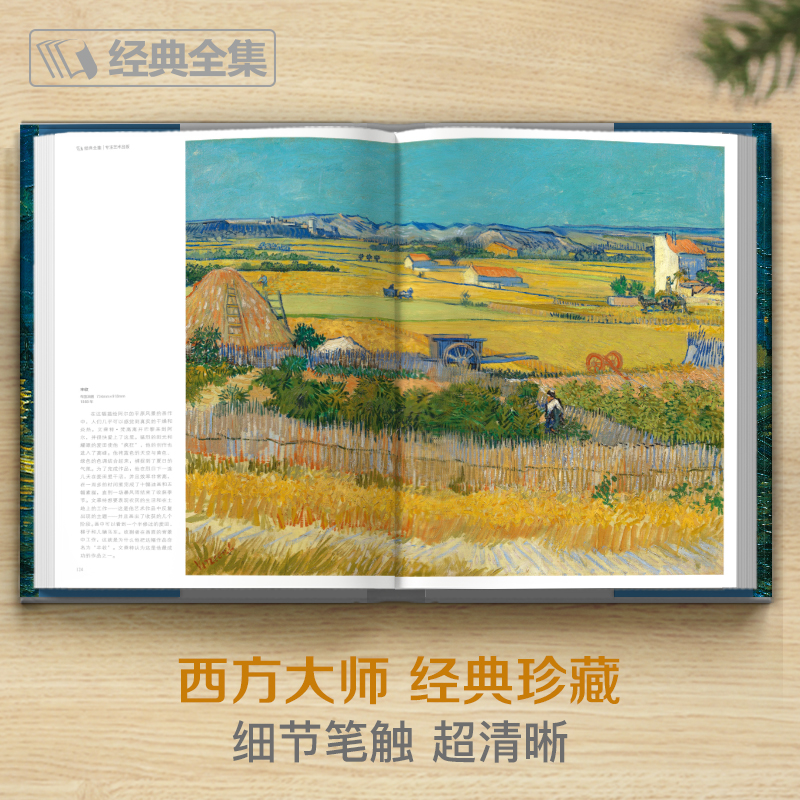 【精装版】文森特·梵高VanGogh油画书籍凡高大画册色彩向大师学风景西方艺术精选集高清大临本原作原版进口绘画技法教程 - 图2