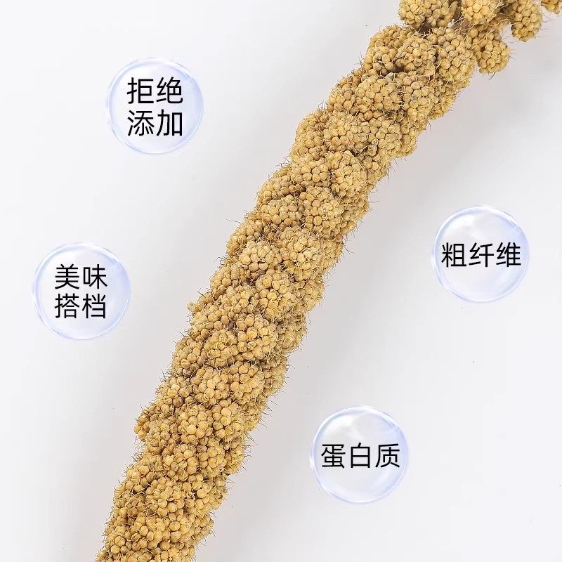 鹦鹉磨牙棒天然谷穗鸟零食谷物磨喙营养均衡训练奖励鸟粮用品大全,淘宝优惠券,粉丝福利购,淘宝优惠卷