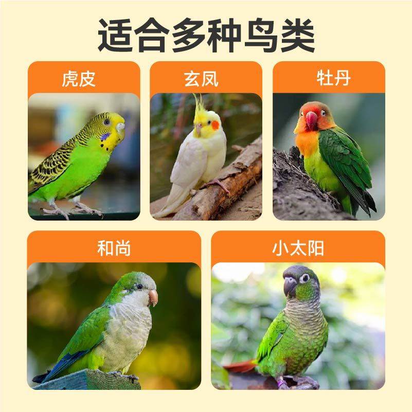 鹦鹉营养粮带壳黄谷子小米鸟粮训练奖励虎皮玄凤鹦鹉专用鸟零食,淘宝优惠券,粉丝福利购,淘宝优惠卷