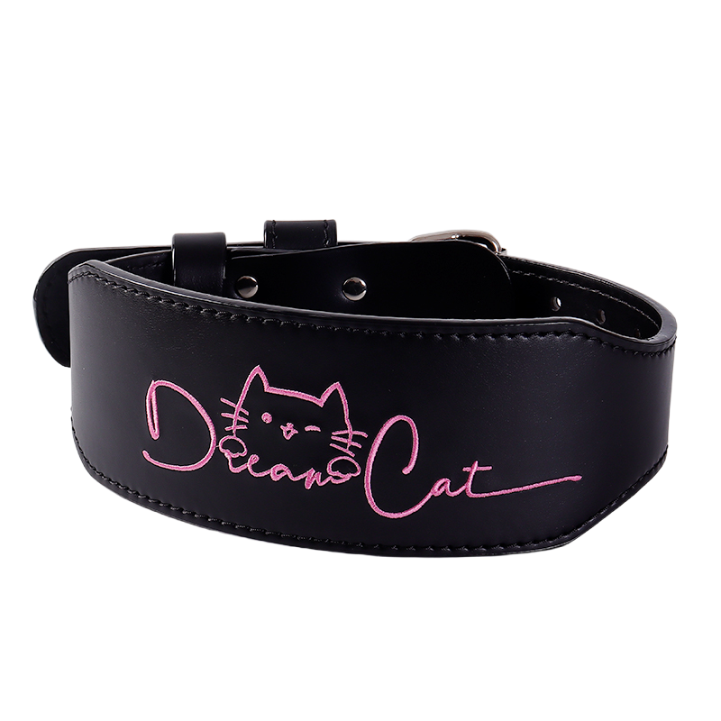 DREAMERCAT专业健身运动女防卡腰深蹲硬拉训练护腰带负重器械护具,淘宝优惠券,粉丝福利购,淘宝优惠卷