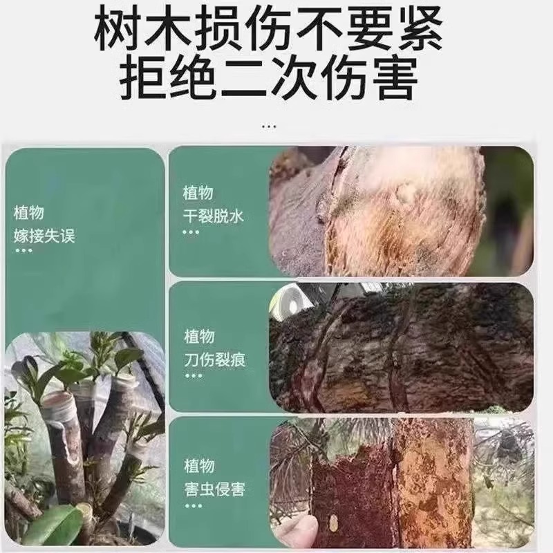 植物嫁接伤口愈合剂促活液果树木花卉盆景切口专用嫁接神器愈合剂 - 图2