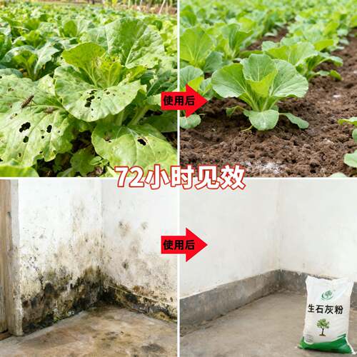 【蔬菜专用】生石灰粉土壤菜地除虫改善土壤高纯度生石灰防虫 - 图2