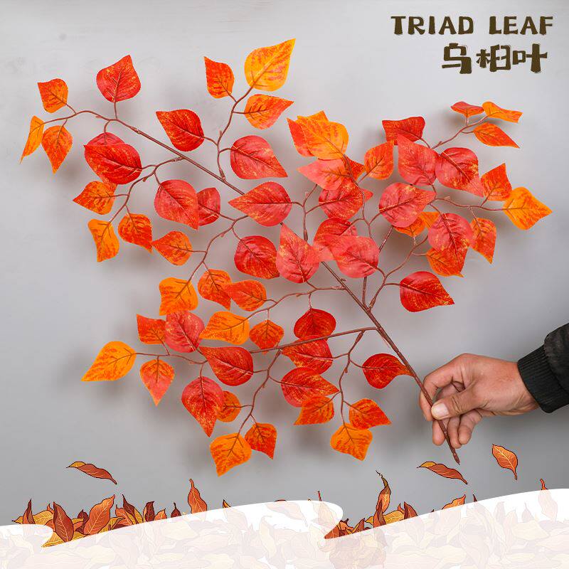 仿真菩提树叶乌桕叶榉树叶秋色过胶树叶真树工程造景装饰假树叶 - 图0